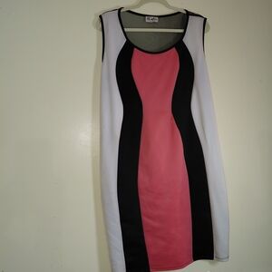 Chic Colorblock Sleeveless Dress